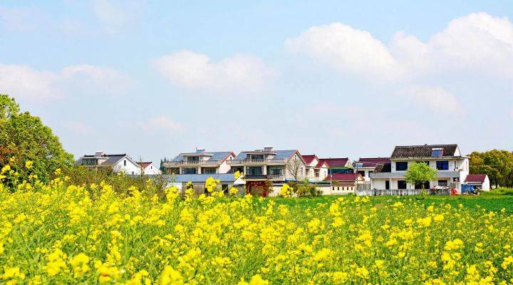 河南焦作市發(fā)文推進農(nóng)村人居環(huán)境整治、農(nóng)村污水治理、黑臭水體治理